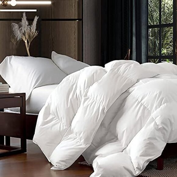 Luxurious Queen Size Goose Down Fiber Comforter - 100% Egyptian Cotton, White - Picture 1 of 8